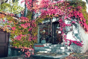 独行侠主场告捷，豪取七连胜