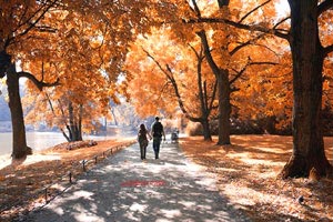 意大利守门员多纳鲁马：意甲联赛的未来何去何从？