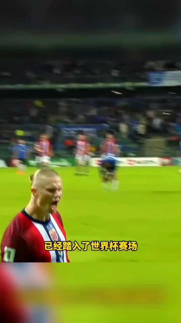 关于巧了！哈兰德：能进世界杯就会办最盛大庆典，夺冠永不可能的信息